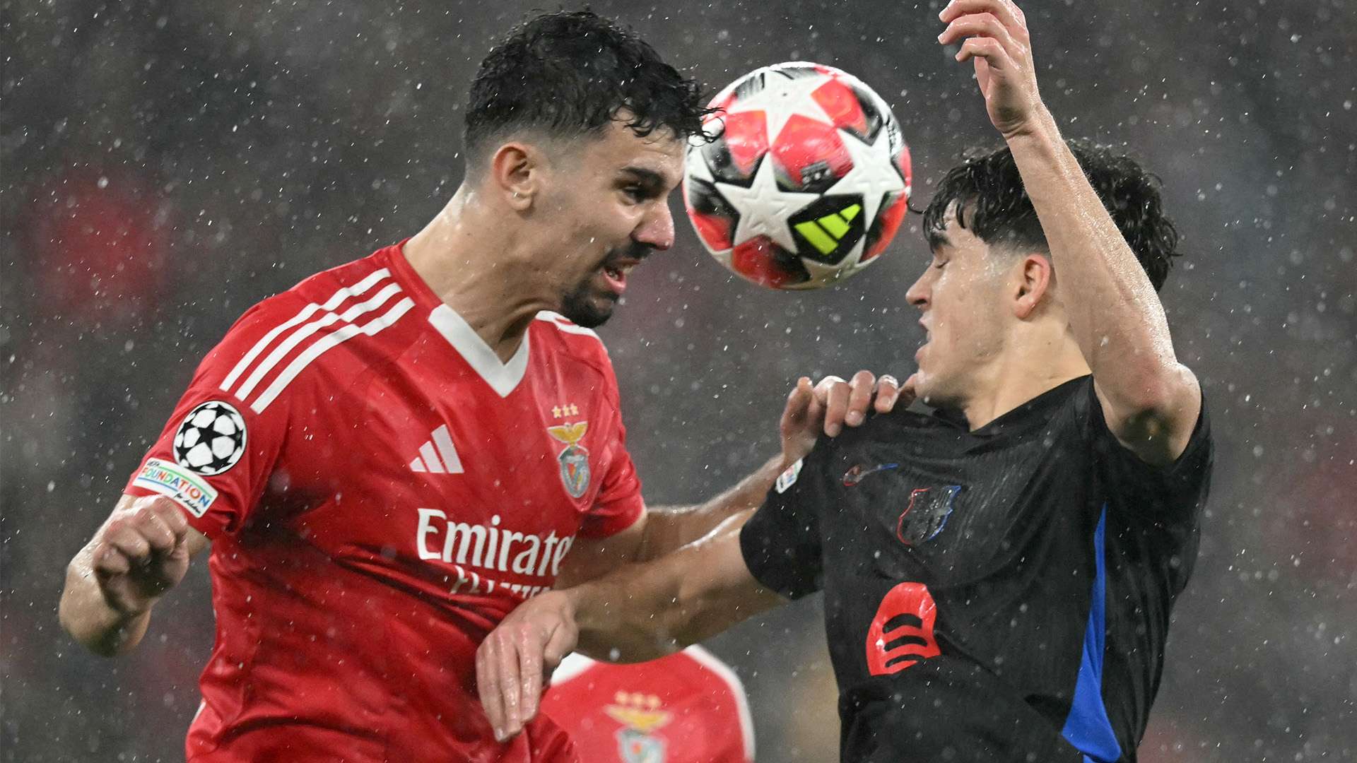 大体育媒体 大体育媒体