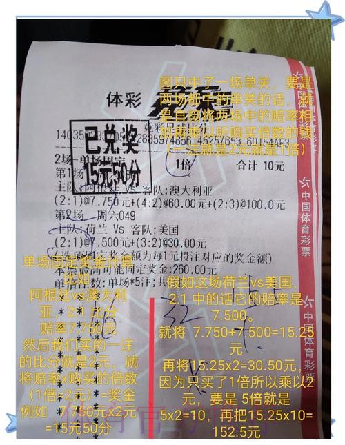 全面解析世界杯投注技巧